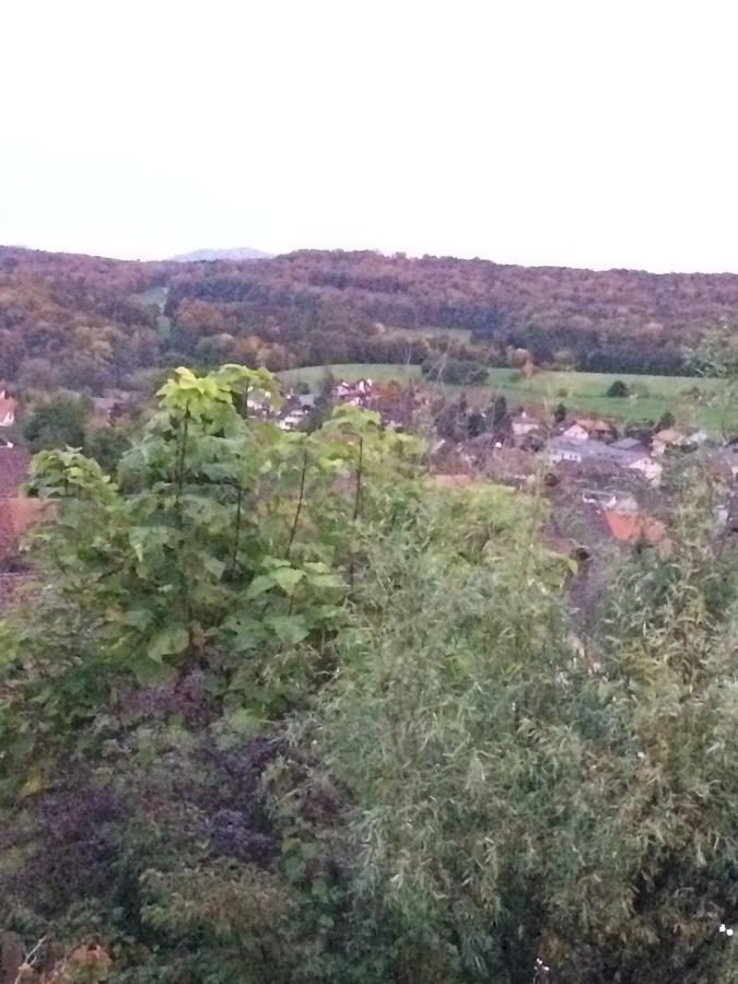 Mona'S Sleep & Go Bed & Breakfast Buren  Eksteriør bilde