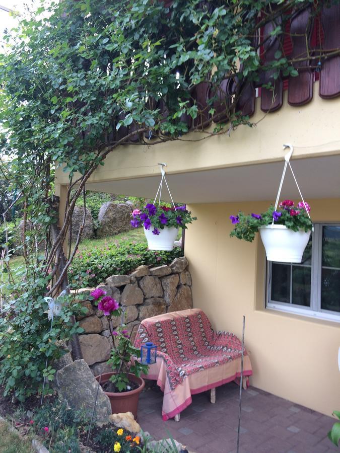Mona'S Sleep & Go Bed & Breakfast Buren  Eksteriør bilde